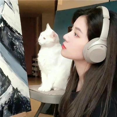 真相吧！花花万物